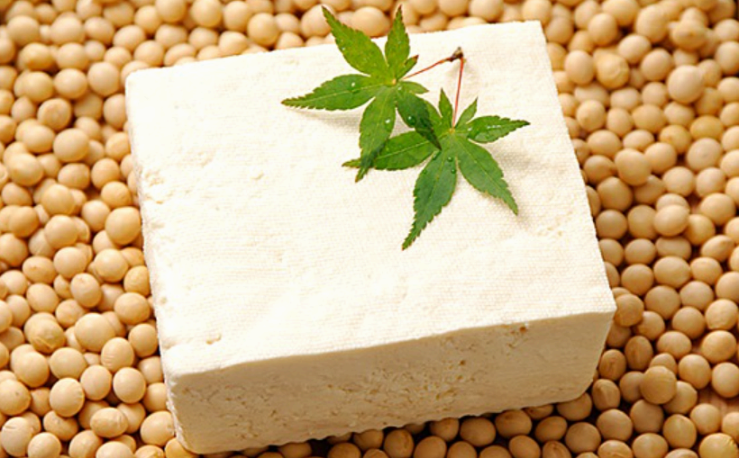 두부 이미지사진