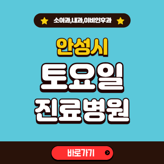 안성시 토요일 진료 병원 찾기 ❘ 주말 문여는 소아과, 내과, 이비인후과 리스트