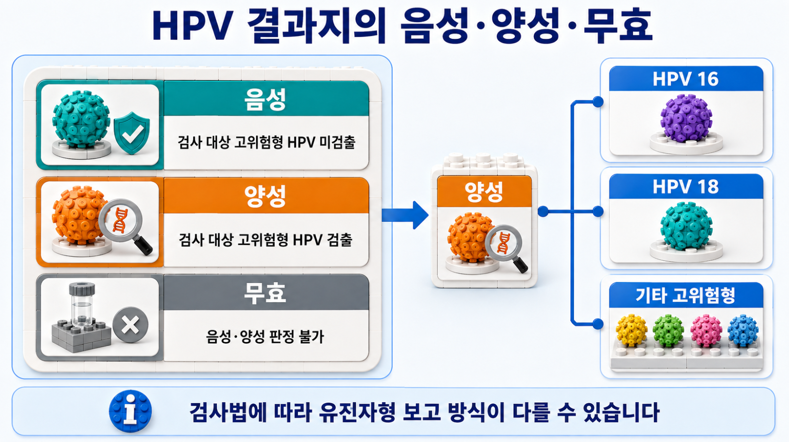 HPV 검사 결과의 음성&middot;양성&middot;무효 의미와 HPV 16&middot;18 및 기타 고위험형 보고 방식을 설명하는 인포그래픽