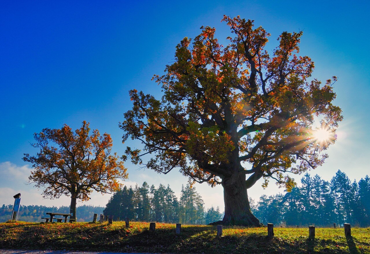국내 가을 여행지, 단풍 여행