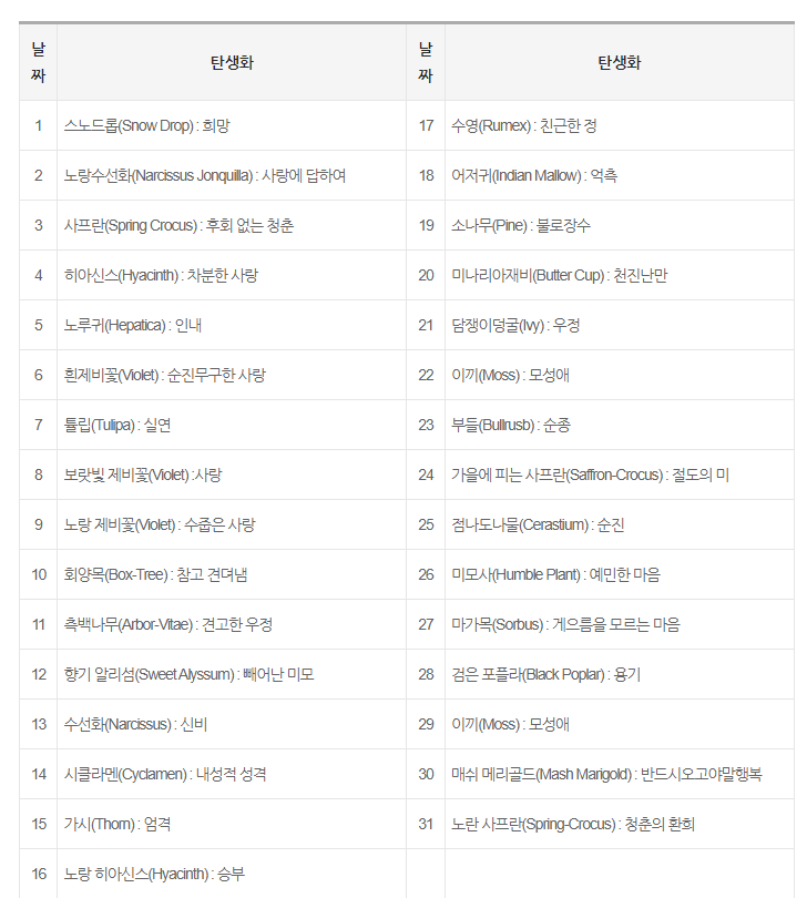 일별 탄생화-의미-꽃말-1~12월-월별