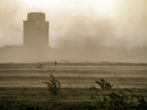 비염 원인 - 미세먼지