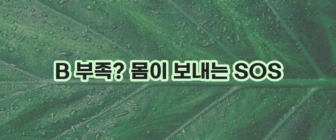 비타민B 부족 증상과 좋은 음식 꼭 확인하세요!