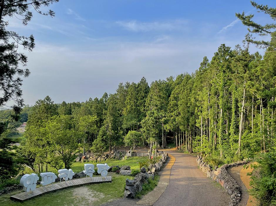 제주 도치돌 알파카 목장