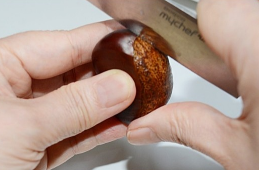 에어프라이어-밤굽기