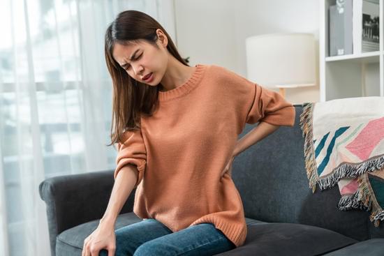 허리의 구조와 기능: 이해와 건강 관리 가이드