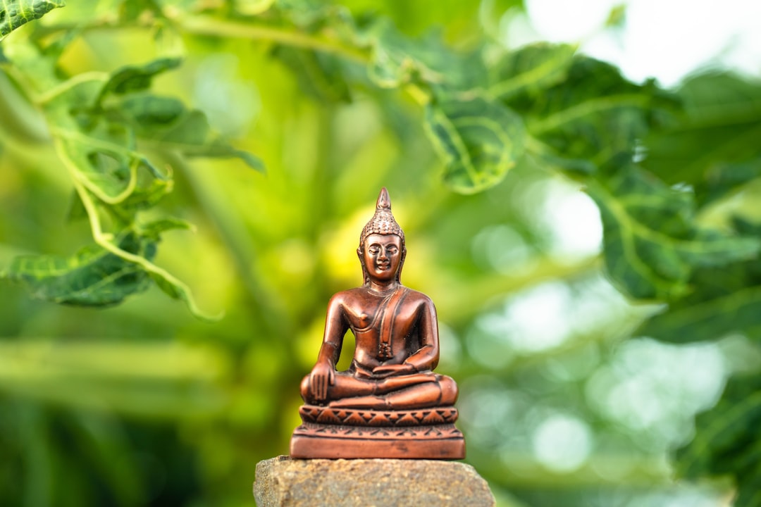 Enlightenment