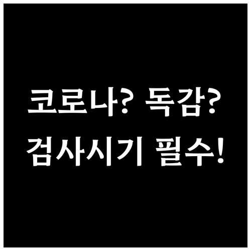 코로나19와 B형 독감 차이점 및 검..