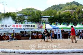 제21회 영동군민의날 기본일정과 특징 소개 손태진 신성 에녹 김나희 하이큐티 출연