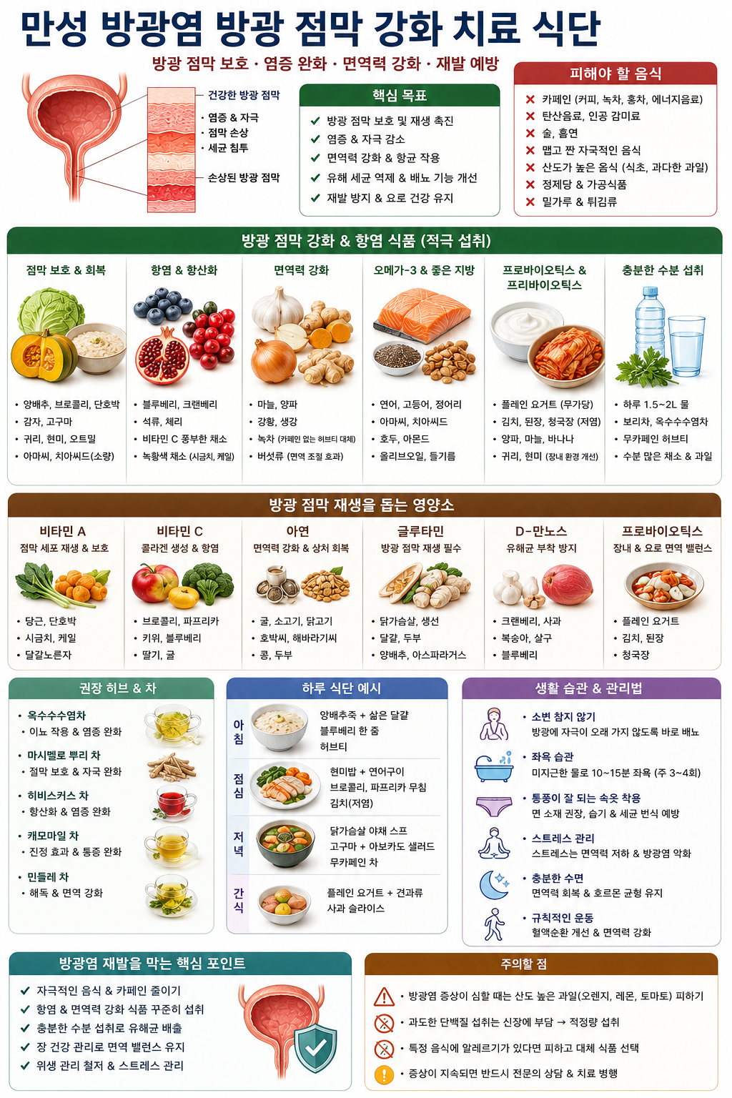 만성 방광염 방광 점막 강화 치료 식단