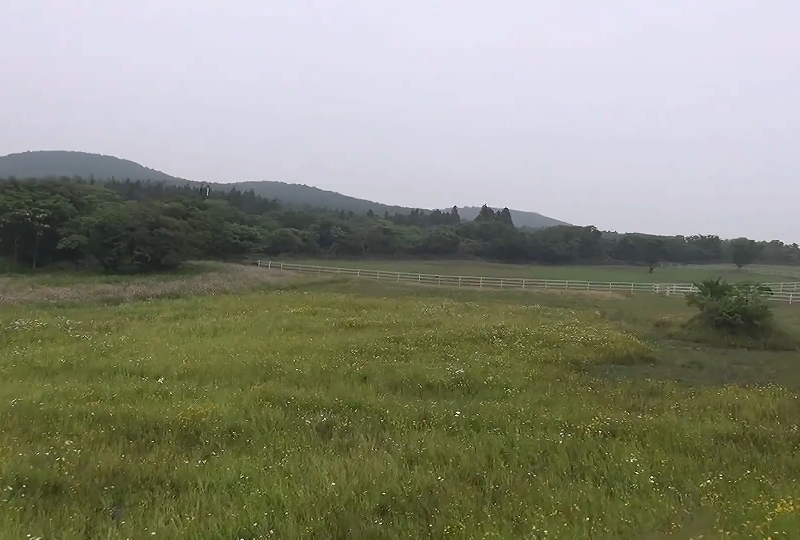 에코랜드 기차를 타고 가면서 보이는 창밖의 풍경&amp;#44; 매우 넓은 평야가 펼쳐져 있다.