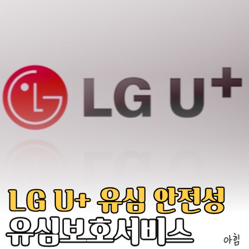 LG U+ 유심 엘지 유플러스 유심 가입하기 유심보호서비스