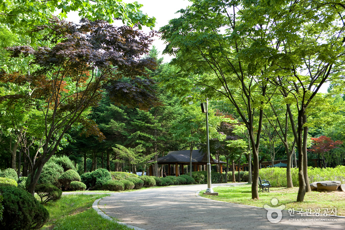 2024 가을 여행지 단풍 명소 추천