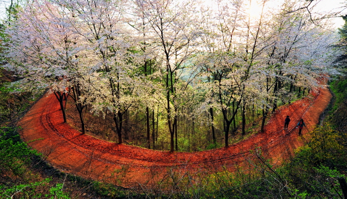 대전 가볼만한곳 베스트10