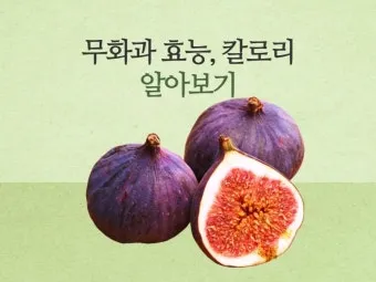 무화과 효능 칼로리 먹는 방법 수확시기 보관법_20