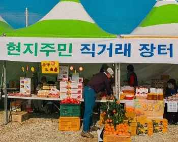 고흥 유자축제_24