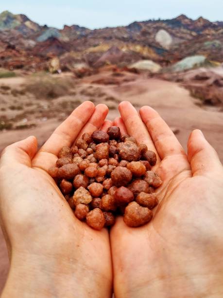 손에 들린 희토류