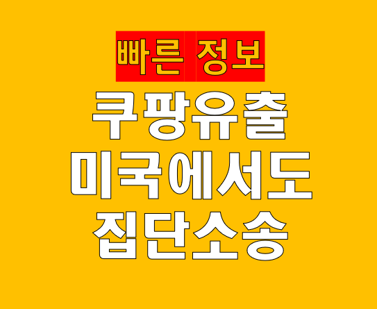 쿠팡 집단소송 미국에서도? 국내외 투자 리스크 확대되나