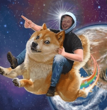 일론머스크가-시바견을-타고-우주로가는-이미지