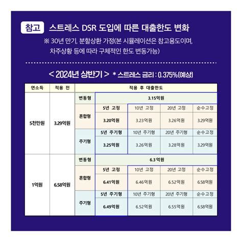 주택담보대출 DSR