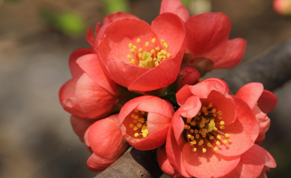 화담숲-예약하기