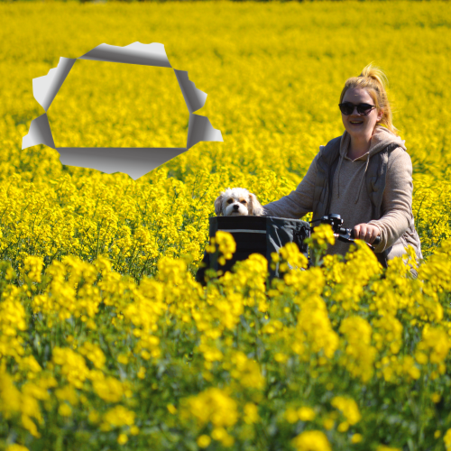 중년놀이 추천(건강,힐링,취미)