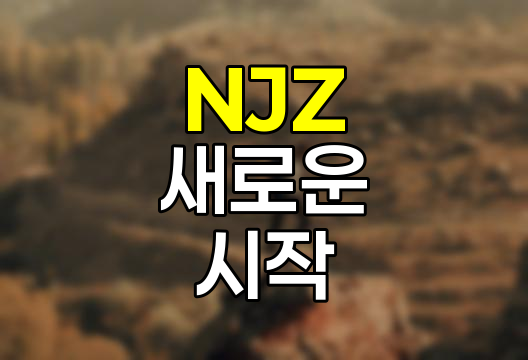 뉴진스에서 NJZ로, 팀명 변경의 배경과 의미