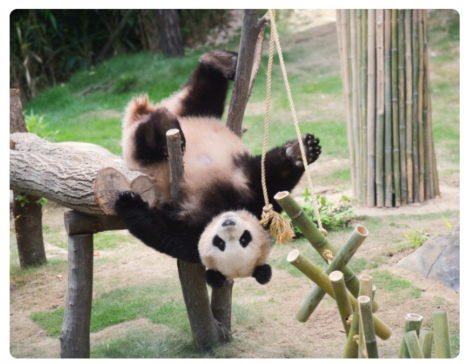에버랜드 입장료 할인카드
