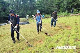 벌초대행 가격비교