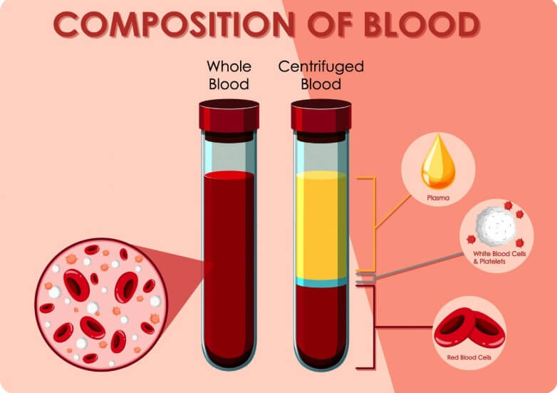 피의 농도와 노폐물의 정도