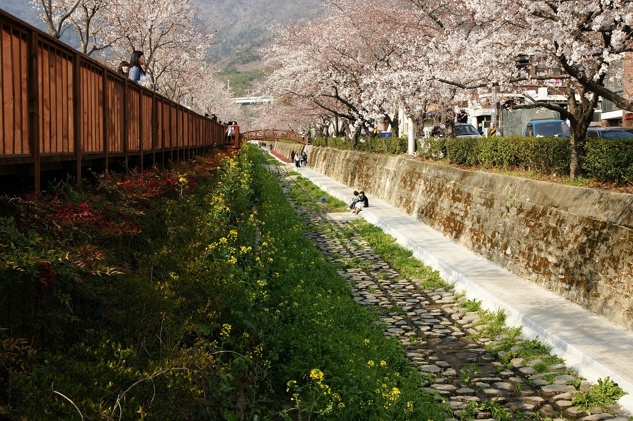 전라도 봄축제 추천 (꽃놀이, 가족여행, 교통팁) 참고사진