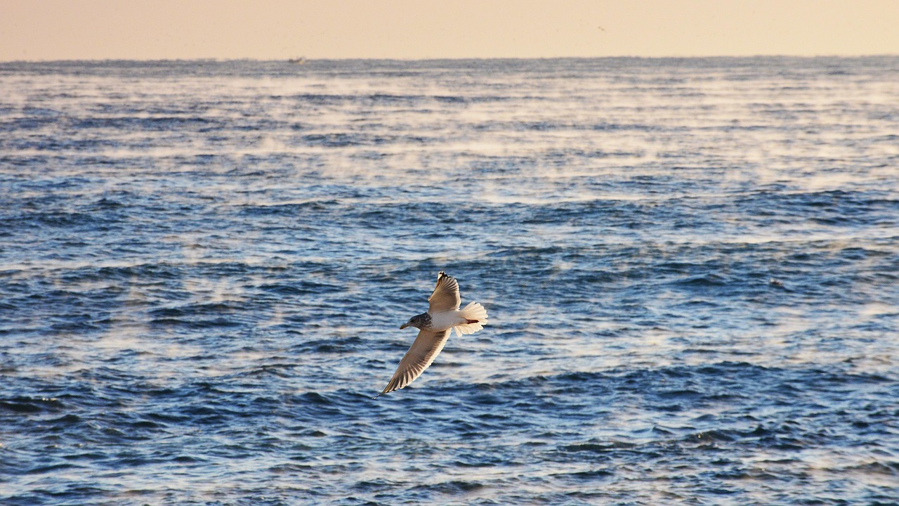강릉 주문진 항구