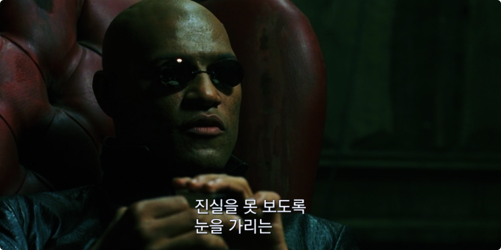 버튜버와 빨간약의 관련성