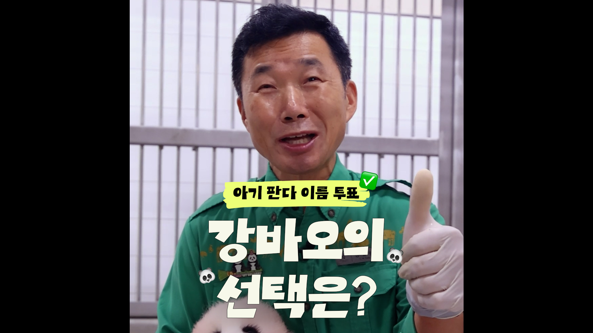 아기 판다 이름 투표할 때까지 쫓아가기ㅋㅋ｜#shorts #이름투표