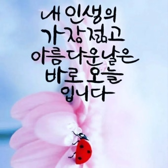 참행복