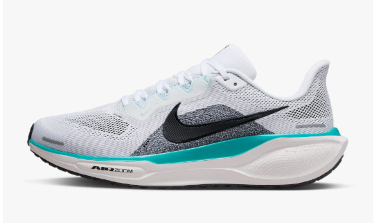 나이키-페가수스-41