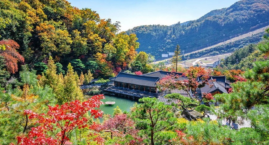 화담숲 모노레일 예약 100% 할 수 있는 꿀팁