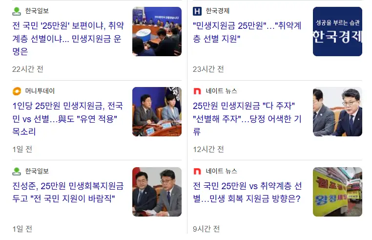 민생지원금-25만원-관련기사