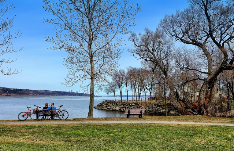 퇴직 관련 사진
