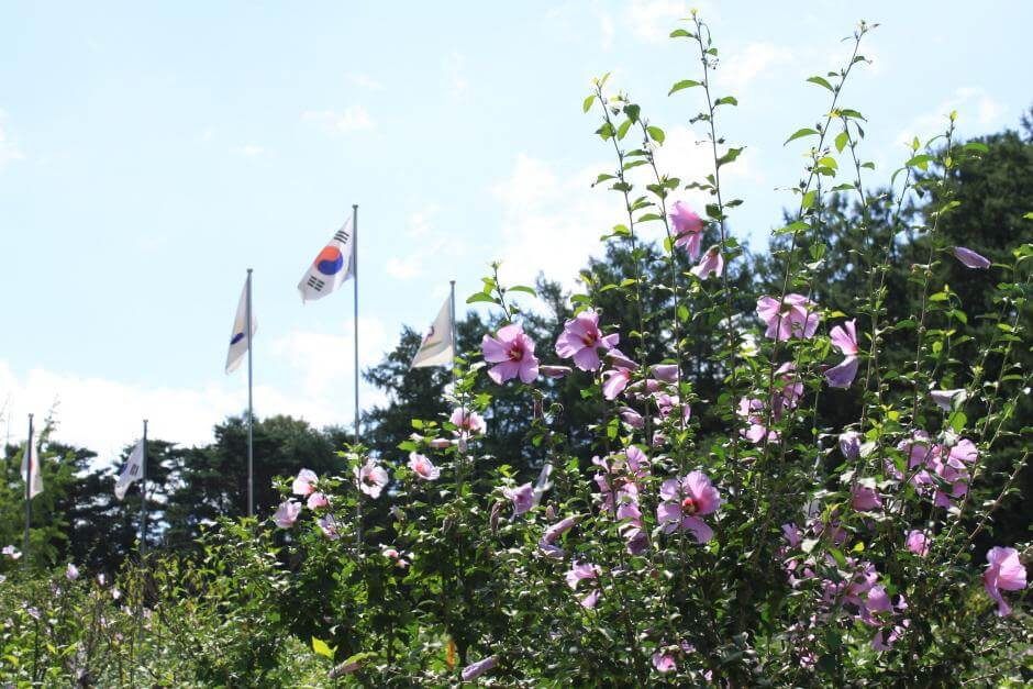 홍천 가볼만한곳 베스트 10