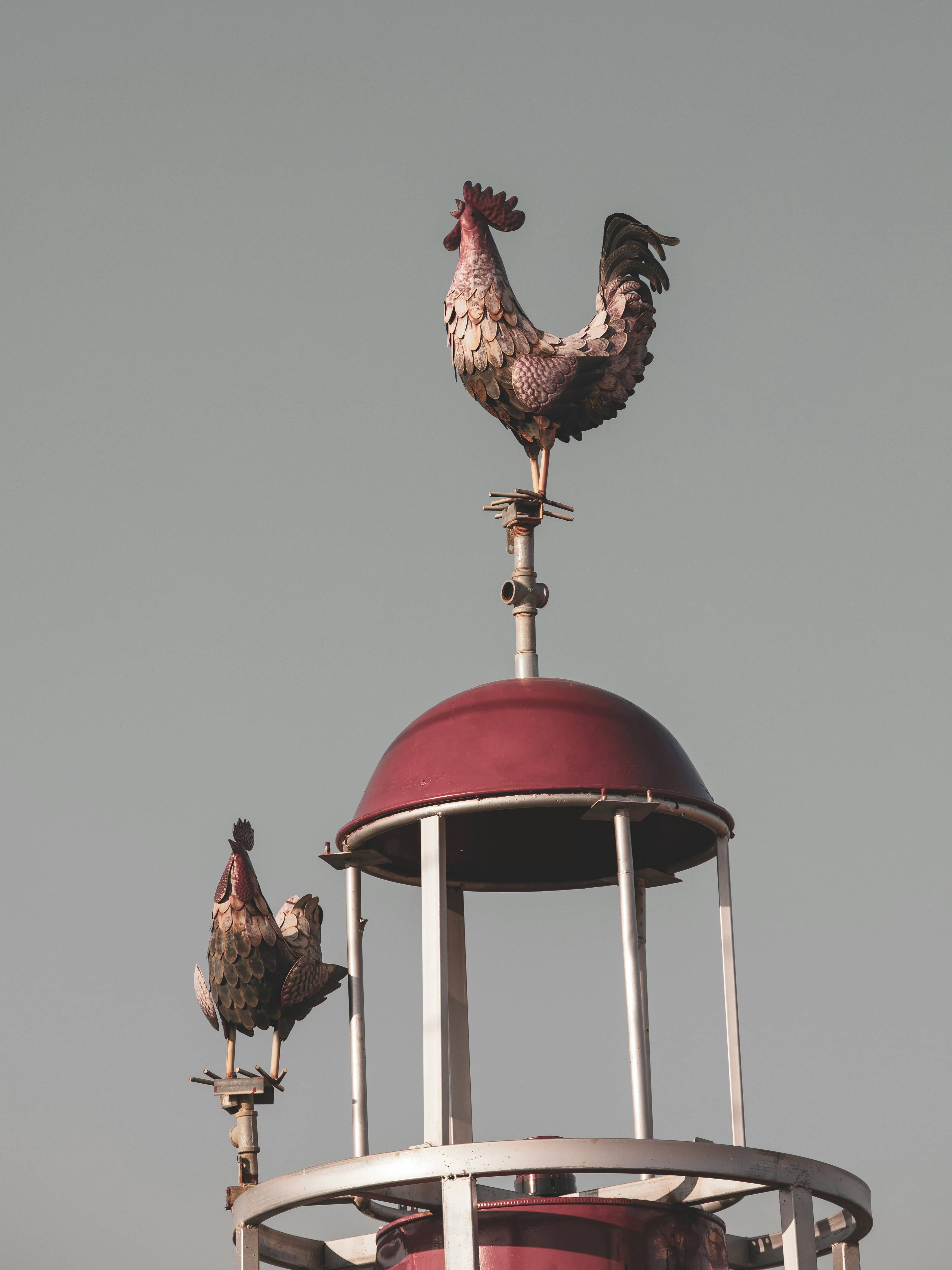 동해시 모습들 이미지