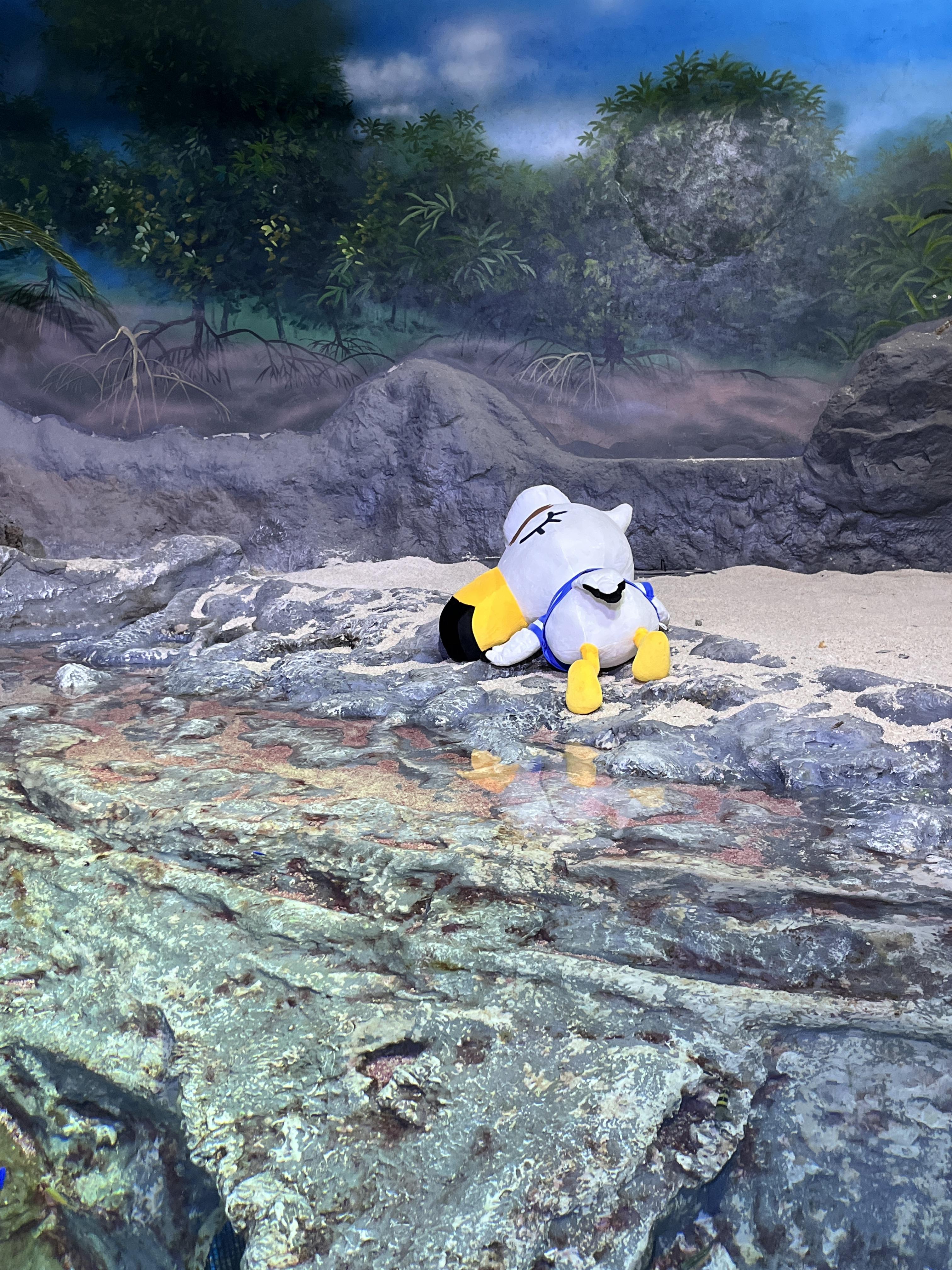 코엑스 아쿠아리움 동물의숲