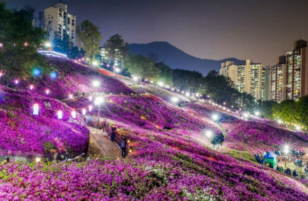 2024 군포 철쭉축제