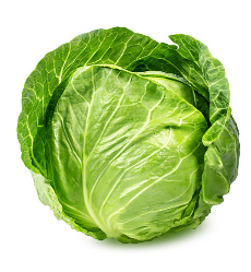 속쓰림에 좋은 양배추