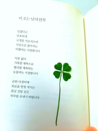 비오는날 안부 인사 건강 챙기는 말 안전 운전 당부 문장_22