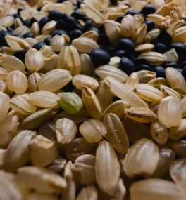 현미 효능과 부작용 영양성분 칼로리 다이어트