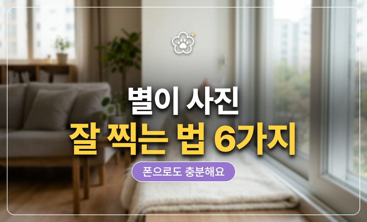 별이 사진 잘 찍는 법