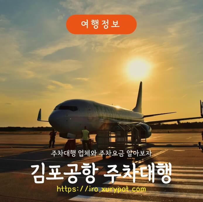 김포공항 비행기