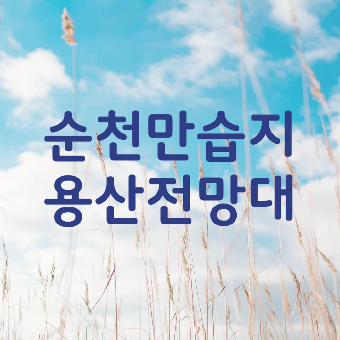 순천만 습지 용산전망대
