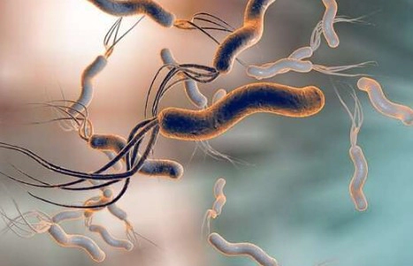 헬리코박터균 원인 3가지 및 헬리코박터균 치료약 부작용 총정리 